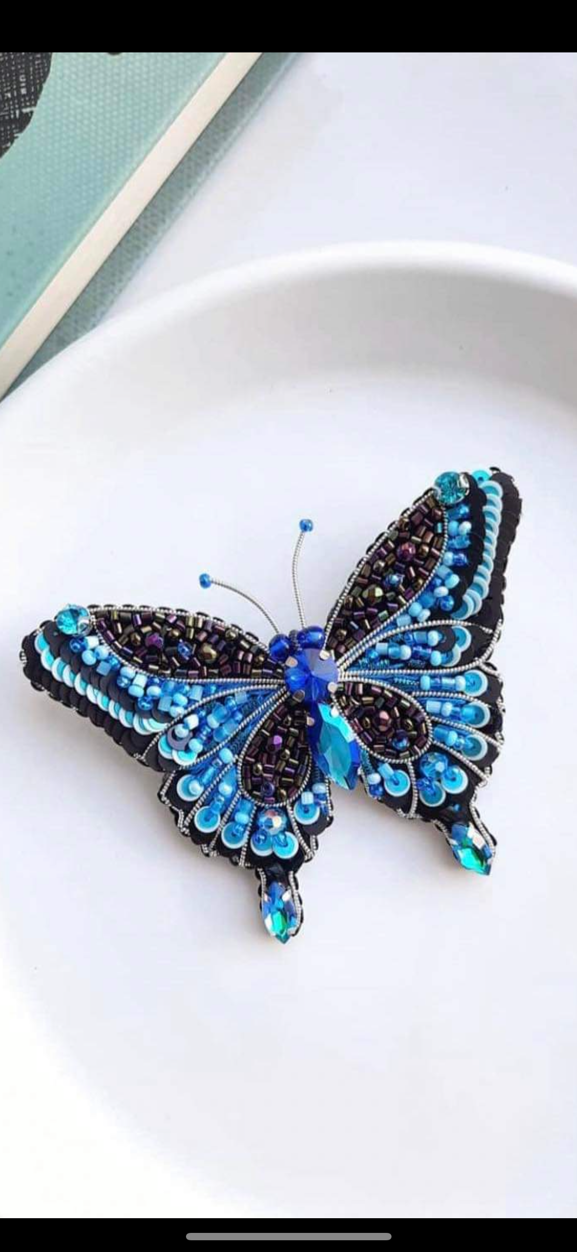 New Butterfly