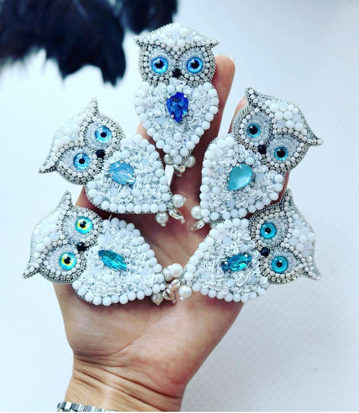 Owls