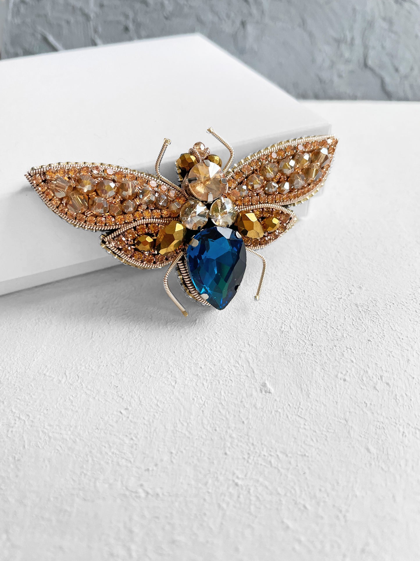 Insect with blue stone