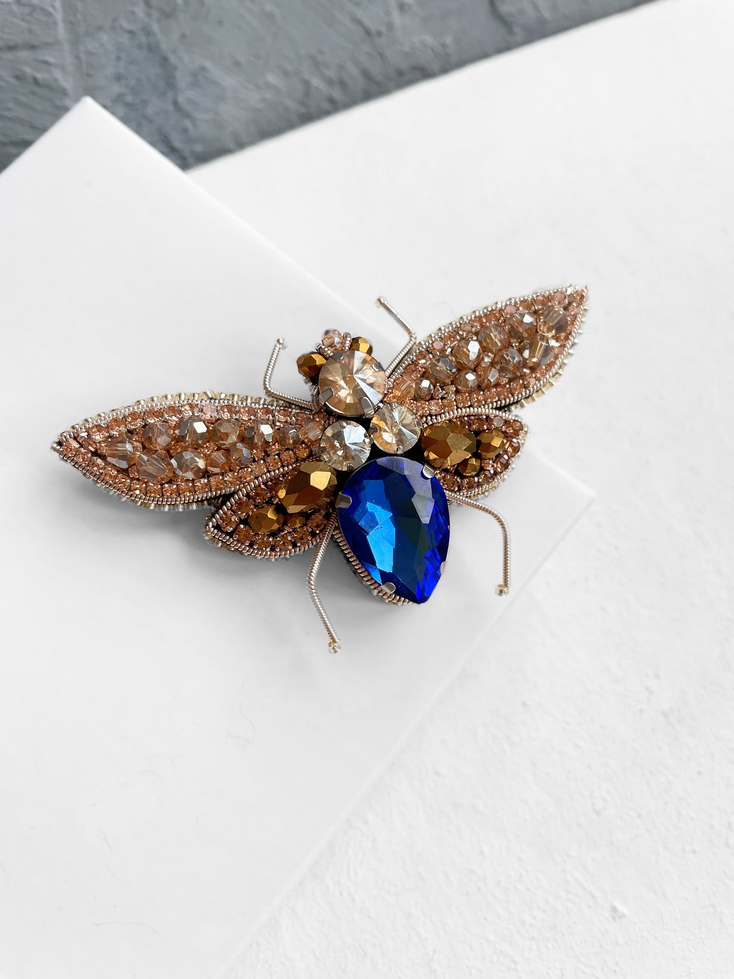 Insect with blue stone